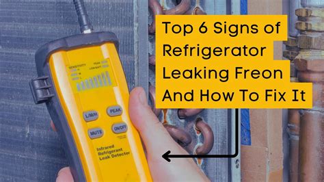 freon leak freezer|Five Signs Your Refrigerator Is Leaking Freon: A。